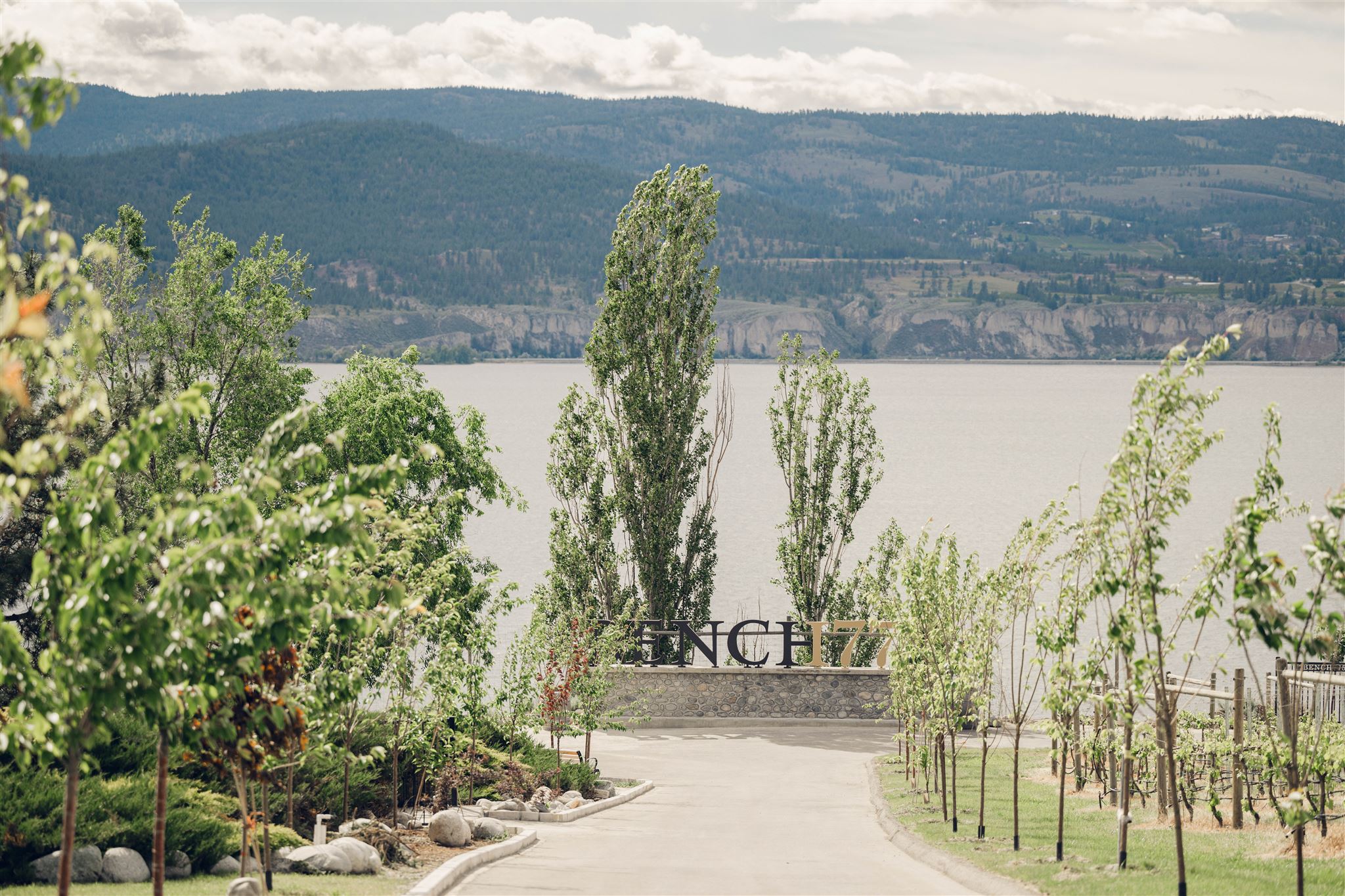 the view at Bench 1775 Winery, in Naramata, with green trees, the lake and mountains in the background